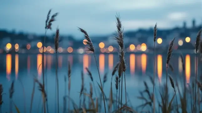 河畔灯火封面 - 河岸风声影像